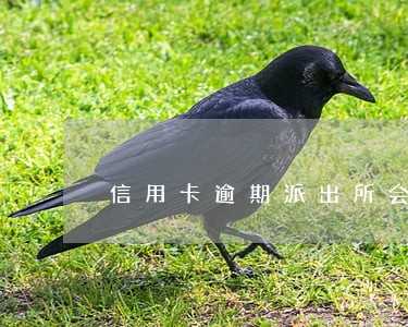 信用卡逾期派出所会出面吗 信用卡逾期派出所会出面吗