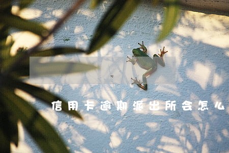 信用卡逾期派出所会怎么样 信用卡逾期派出所会怎么样