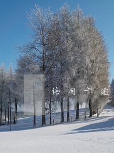 信用卡逾期派出所会直接抓吗 信用卡逾期派出所会直接抓吗