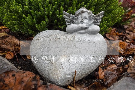 信用卡逾期派出所会馆吗 信用卡逾期派出所会馆吗