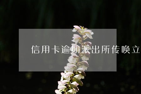 信用卡逾期派出所传唤立案
