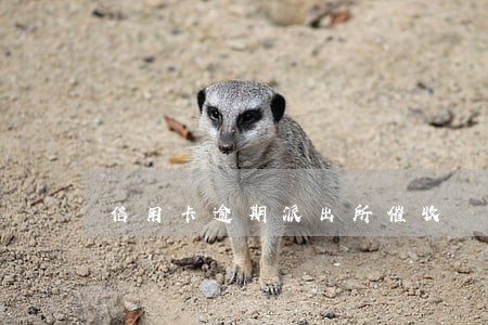 信用卡逾期派出所催收 信用卡逾期派出所催收