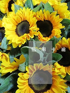 信用卡逾期派出所怎么立案 信用卡逾期派出所怎么立案
