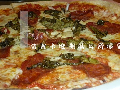 信用卡逾期派出所滞留 信用卡逾期派出所滞留