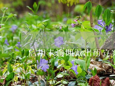 信用卡逾期派出所立案吗 信用卡逾期派出所立案吗