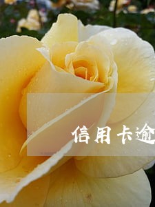 信用卡逾期派出所管吗m 信用卡逾期派出所管吗m