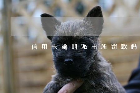 信用卡逾期派出所罚款吗 信用卡逾期派出所罚款吗