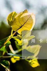 信用卡逾期派出所联系我老婆 信用卡逾期派出所联系我老婆