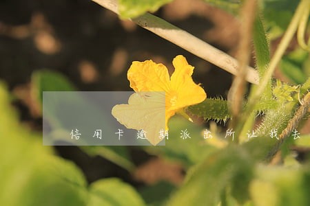 信用卡逾期派出所让我去做笔录 信用卡逾期派出所让我去做笔录