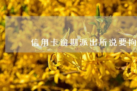 信用卡逾期派出所说要拘留我 信用卡逾期派出所说要拘留我