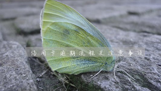 信用卡逾期流程及注意事项 信用卡逾期流程及注意事项