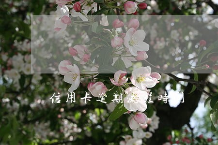 信用卡逾期流程时间