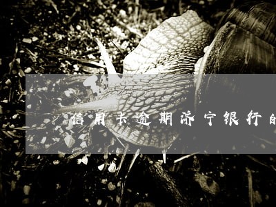 信用卡逾期济宁银行的卡冻结吗 信用卡逾期济宁银行的卡冻结吗