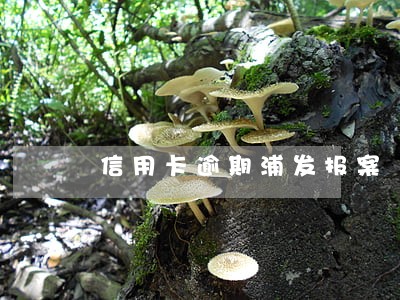 信用卡逾期浦发报案 信用卡逾期浦发报案