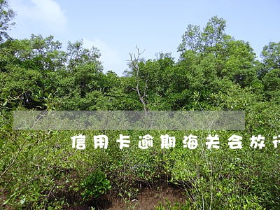 信用卡逾期海关会放行吗 信用卡逾期海关会放行吗