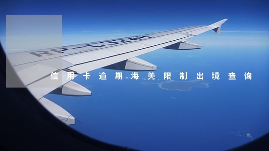 信用卡逾期海关限制出境查询
