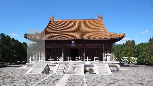 信用卡逾期消卡后怎么还款 信用卡逾期消卡后怎么还款