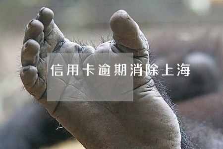 信用卡逾期消除上海