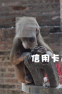 信用卡逾期消除不良信息上海 信用卡逾期消除不良信息上海