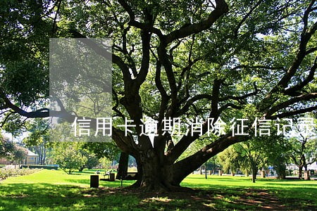 信用卡逾期消除征信记录 信用卡逾期消除征信记录