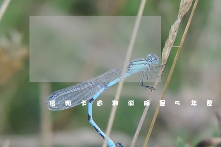 信用卡逾期消除是5年整吗