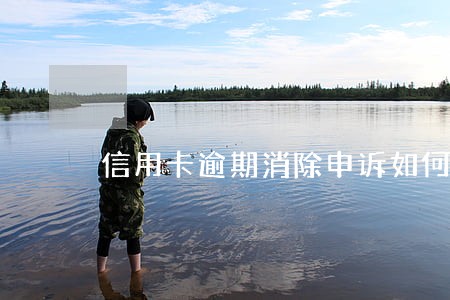 信用卡逾期消除申诉如何写 信用卡逾期消除申诉如何写