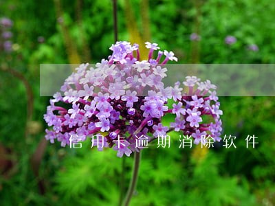信用卡逾期消除软件 信用卡逾期消除软件