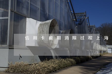 信用卡逾期消除过程上海 信用卡逾期消除过程上海