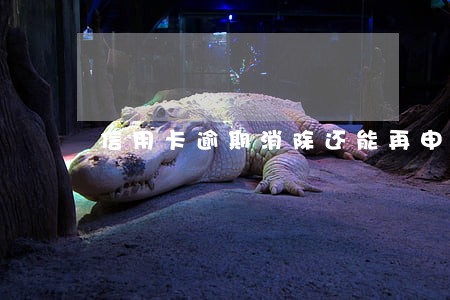 信用卡逾期消除还能再申请吗 信用卡逾期消除还能再申请吗
