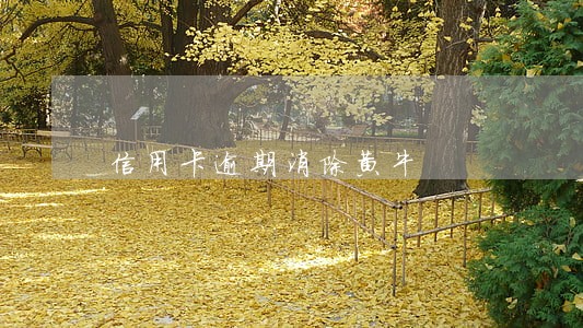 信用卡逾期消除黄牛 信用卡逾期消除黄牛