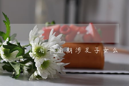 信用卡逾期涉及子女么 信用卡逾期涉及子女么