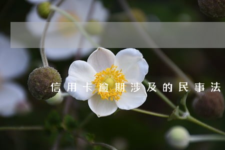 信用卡逾期涉及的民事法律 信用卡逾期涉及的民事法律