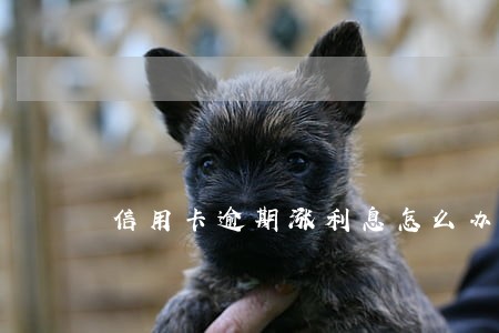信用卡逾期涨利息怎么办 信用卡逾期涨利息怎么办