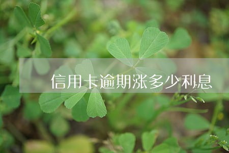 信用卡逾期涨多少利息 信用卡逾期涨多少利息