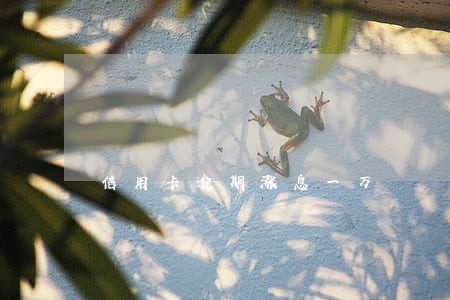 信用卡逾期涨息一万 信用卡逾期涨息一万