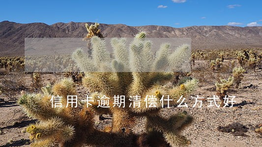 信用卡逾期清偿什么方式好