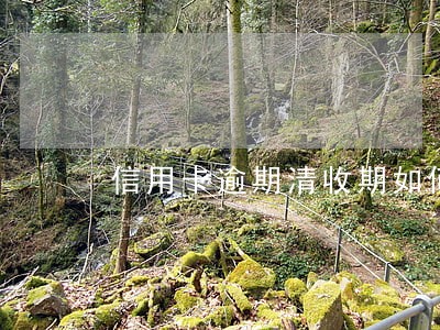 信用卡逾期清收期如何处理