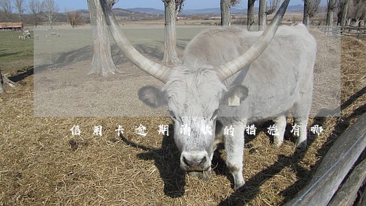 信用卡逾期清收的措施有哪 信用卡逾期清收的措施有哪