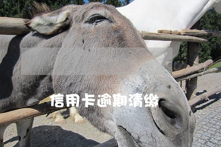 信用卡逾期清缴 信用卡逾期清缴