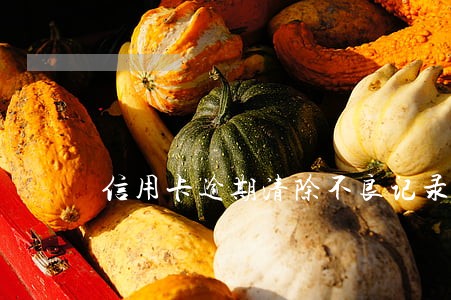 信用卡逾期清除不良记录