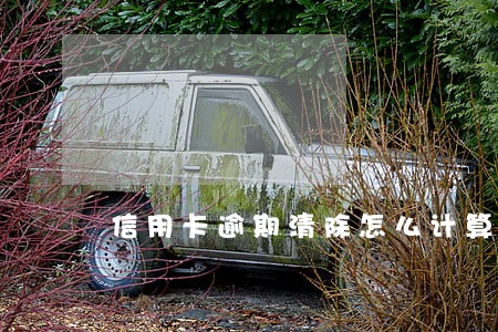 信用卡逾期清除怎么计算周期 信用卡逾期清除怎么计算周期