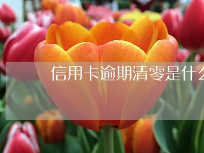 信用卡逾期清零是什么意思 信用卡逾期清零是什么意思