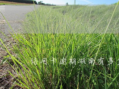 信用卡逾期湖南有多少 信用卡逾期湖南有多少