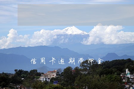 信用卡逾期滞押金 信用卡逾期滞押金