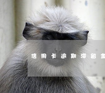 信用卡逾期滞留金每天按照多少来收 信用卡逾期滞留金每天按照多少来收