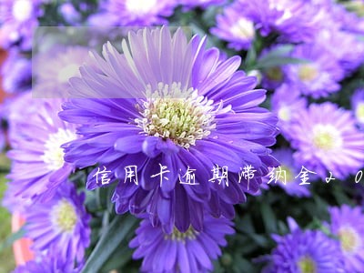 信用卡逾期滞纳金2017