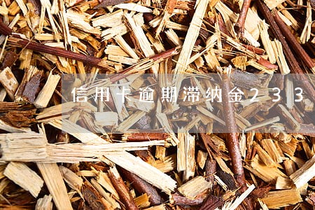 信用卡逾期滞纳金233元 信用卡逾期滞纳金233元