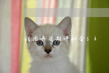 信用卡逾期滞纳金sh 信用卡逾期滞纳金sh