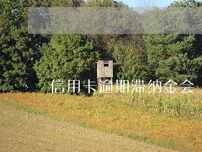 信用卡逾期滞纳金会 信用卡逾期滞纳金会