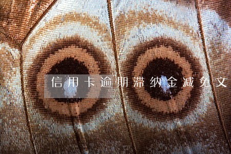 信用卡逾期滞纳金减免文件